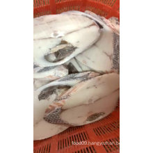 Frozen Oilfish Fillet Ruvettus Pretiosus Rough Skin